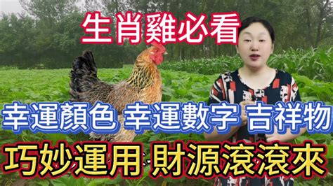 屬雞幸運數字|屬雞的幸運數字是多少 「 不同年份屬雞人」幸運數字。